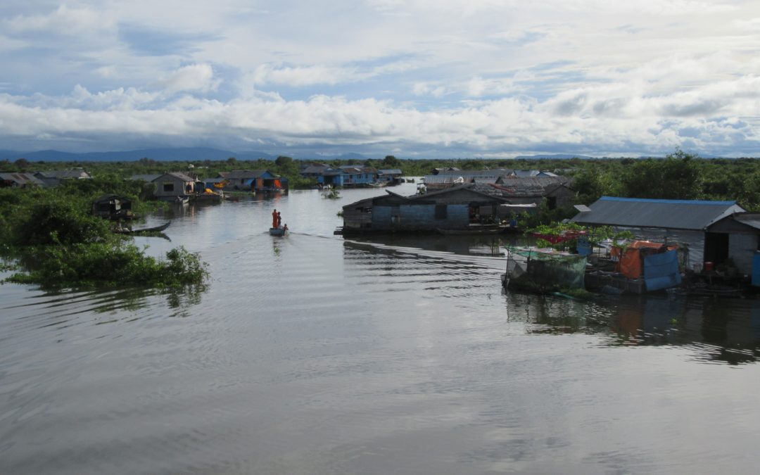 News spotlight: New hope for Mekong ‘megafish’