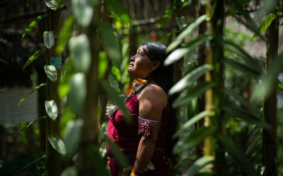 Decolonizing conservation to protect nature and people: 3 stories you may have missed