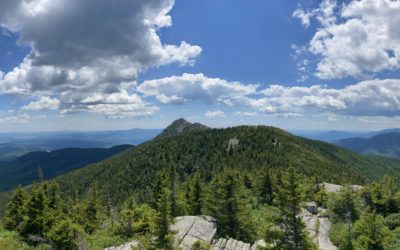 National order bans single-use plastics in national parks. Does it go far enough?