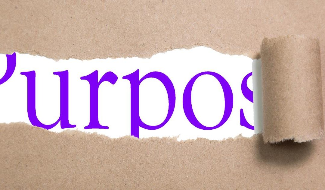 What’s the purpose of ‘purpose’?