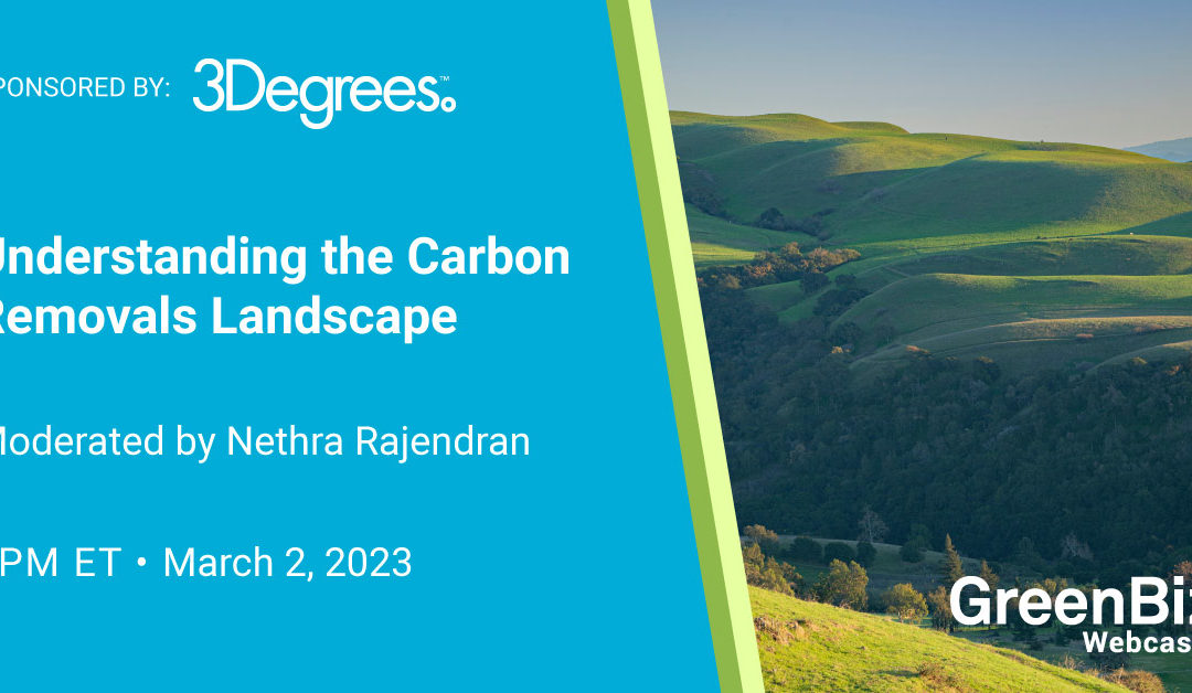 Understanding the Carbon Removals Landscape