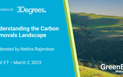 Understanding the Carbon Removals Landscape