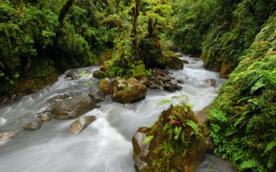 After nearly 50 years, water back on the global agenda