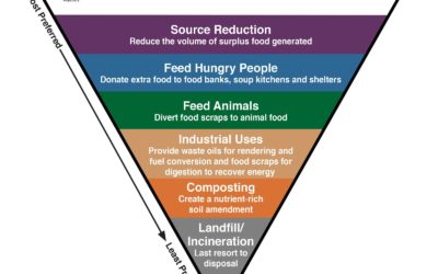 In the kitchen: Innovations in residential food waste