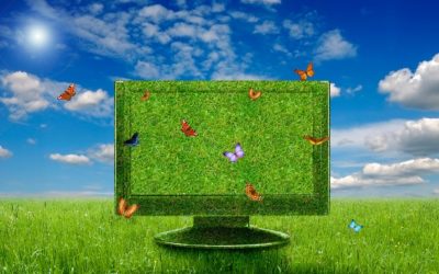 4 Green IT Businesses Working to Reduce Computing’s Impact on the Environment