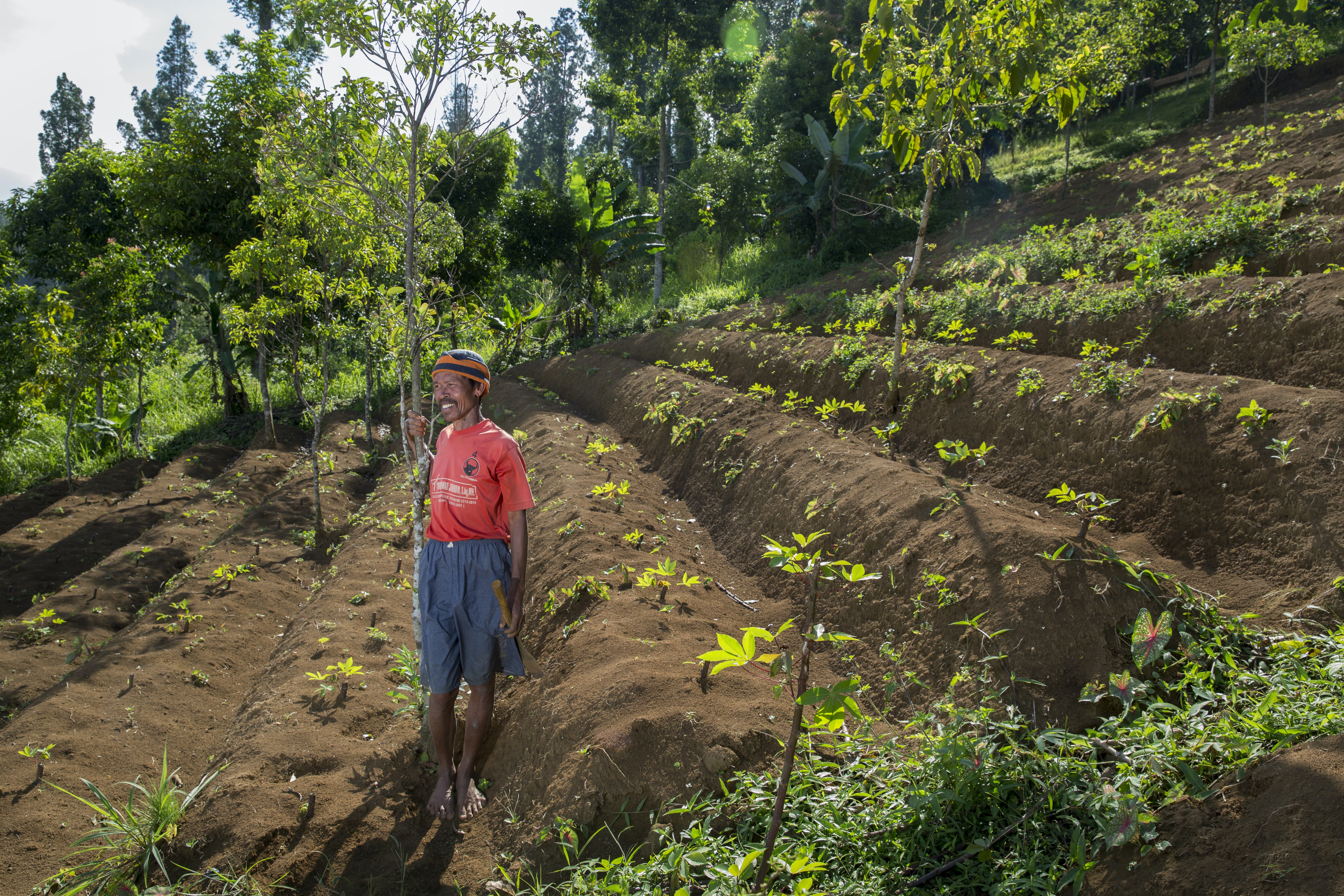 Kardi, a farmer in Indonesia