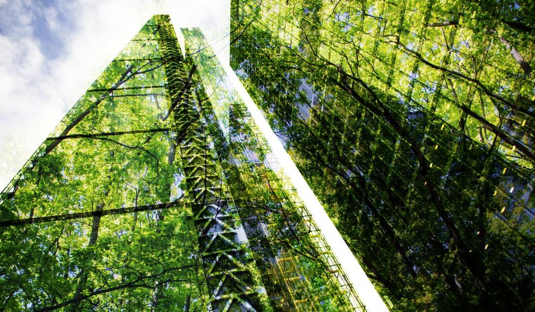 Corporate leaders are greenwashing — and they know it